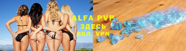 хмурый Абаза