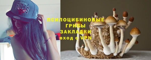 дмт Семилуки