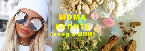 хмурый Абаза