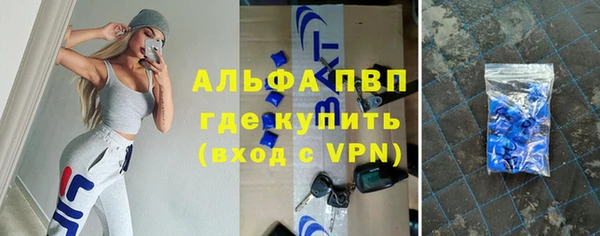 хмурый Абаза