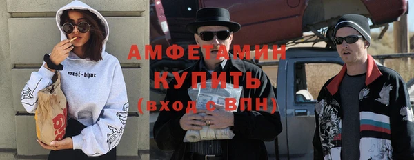 хмурый Абаза