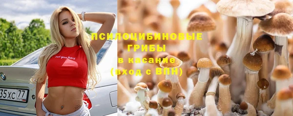 соль ск Абинск