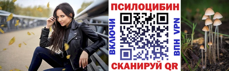 Галлюциногенные грибы Magic Shrooms  закладки  Алдан 
